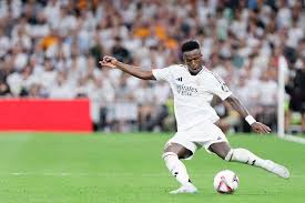 拥有丰富的 拥有丰富的